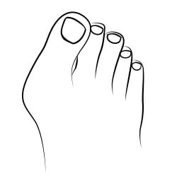 Hallux